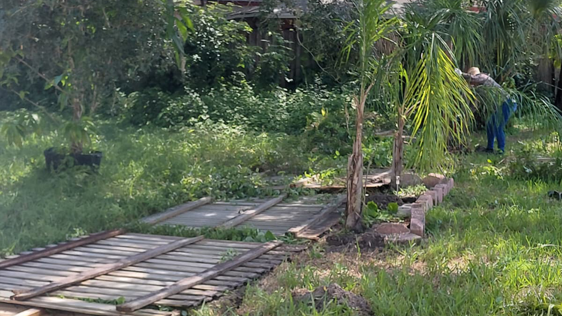 John Irrigation and Lawn Care Services in Wimauma, FL