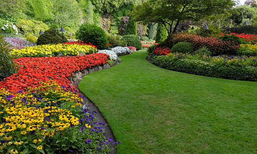 Landscaping Services