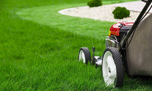 Lawn Care Services