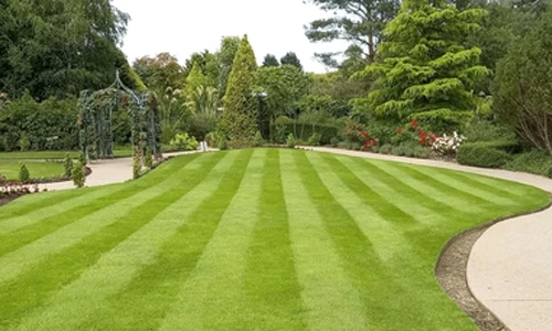 Residential & Commercial Services